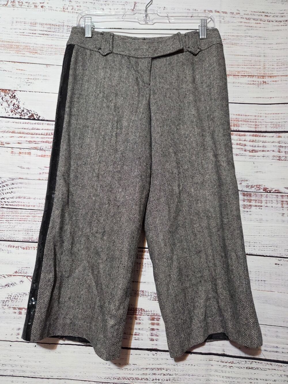 Ann Taylor Loft Pants Ladies 2 Cropped Wool Marisa